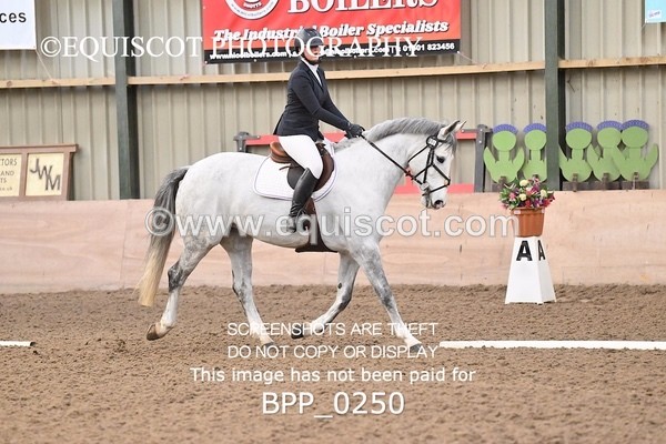 BPP_0250 - 1 - B MCFADYEN