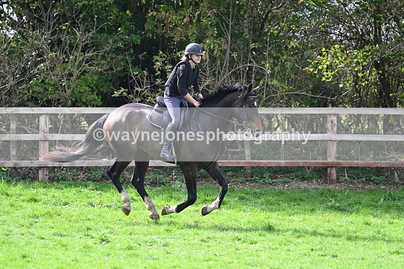 WJ7_9849 - Time 13:13 to 13:55