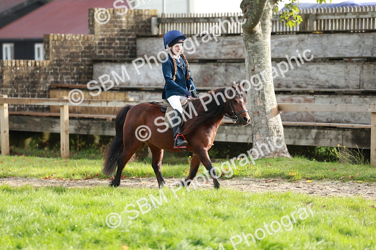 SBM_56386 - S39 - Starters In Hand Showing