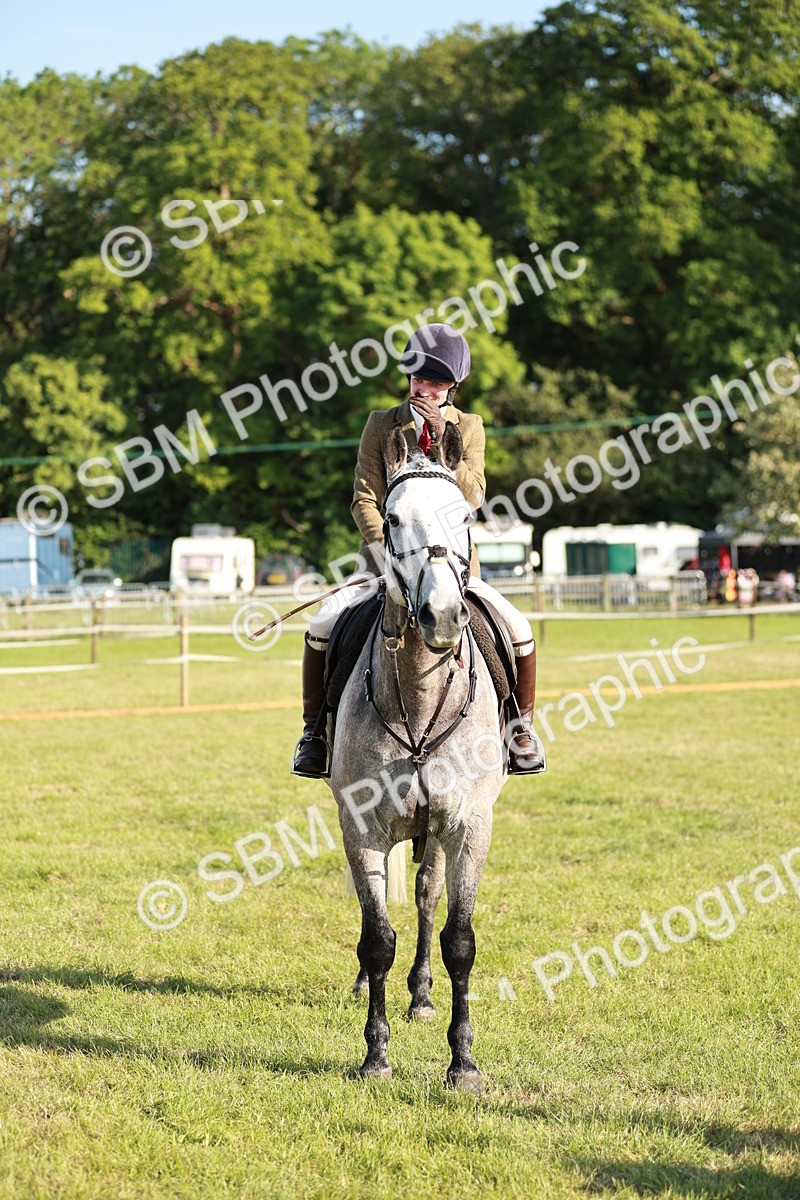 SBM_20043 - Class 115-116 - LIHS BSHA Rising Star Working Hunter & Show Horse