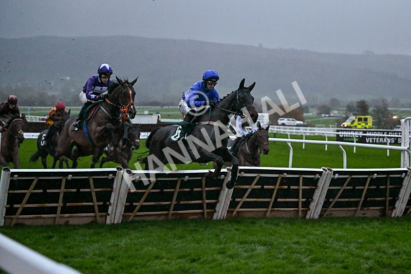 141125-Race 6-Shade Of Winter-1486 - Race 6