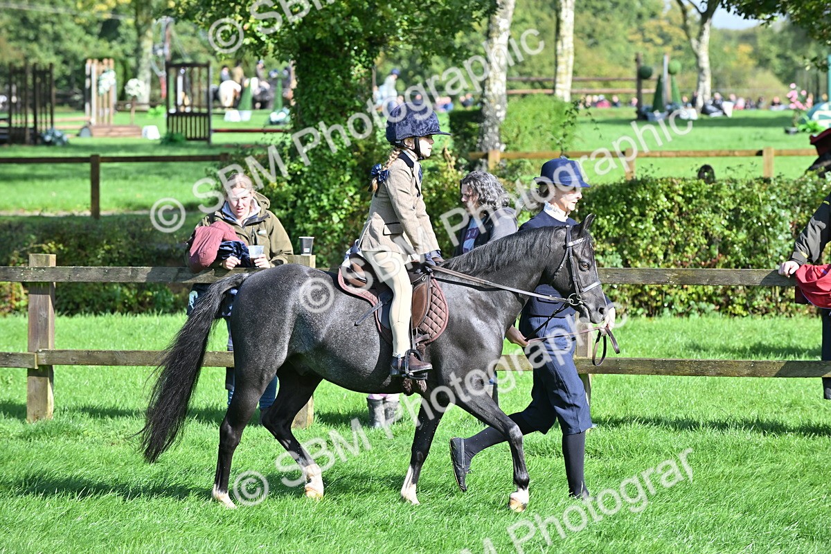 SBM_37440 - S18 - Novice & Newcomer Lead Rein Pony