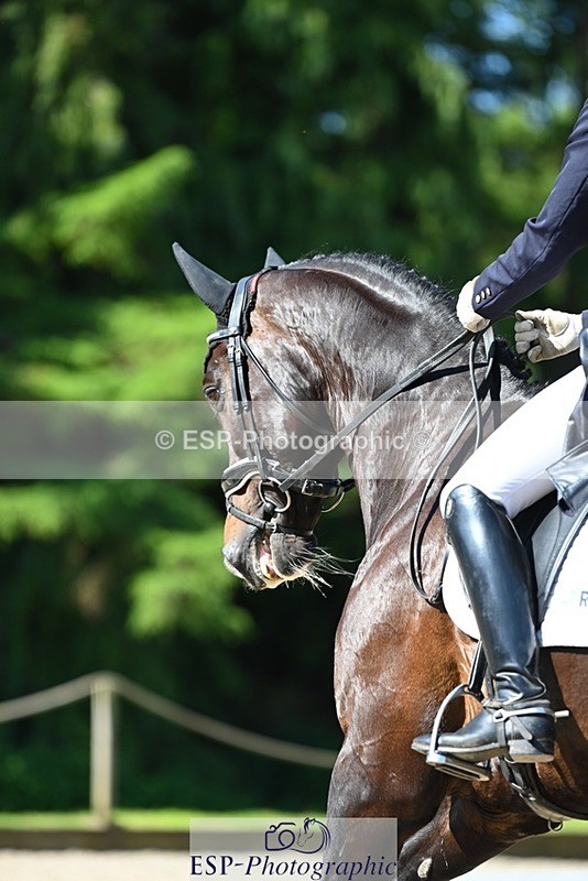 230526-093920-05500 - 456-CHARLY_VAN_TER_HEIDEN-Mollie_Summerland-DR