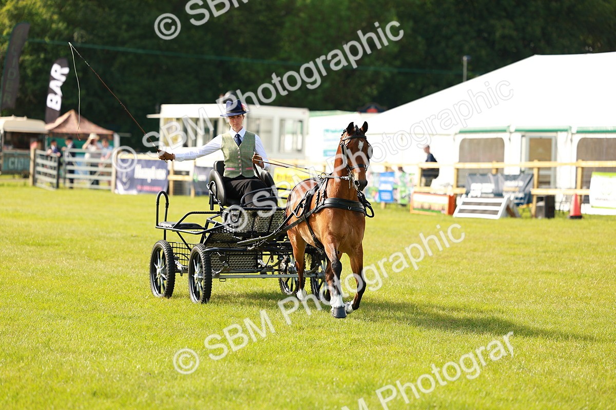SBM_00319