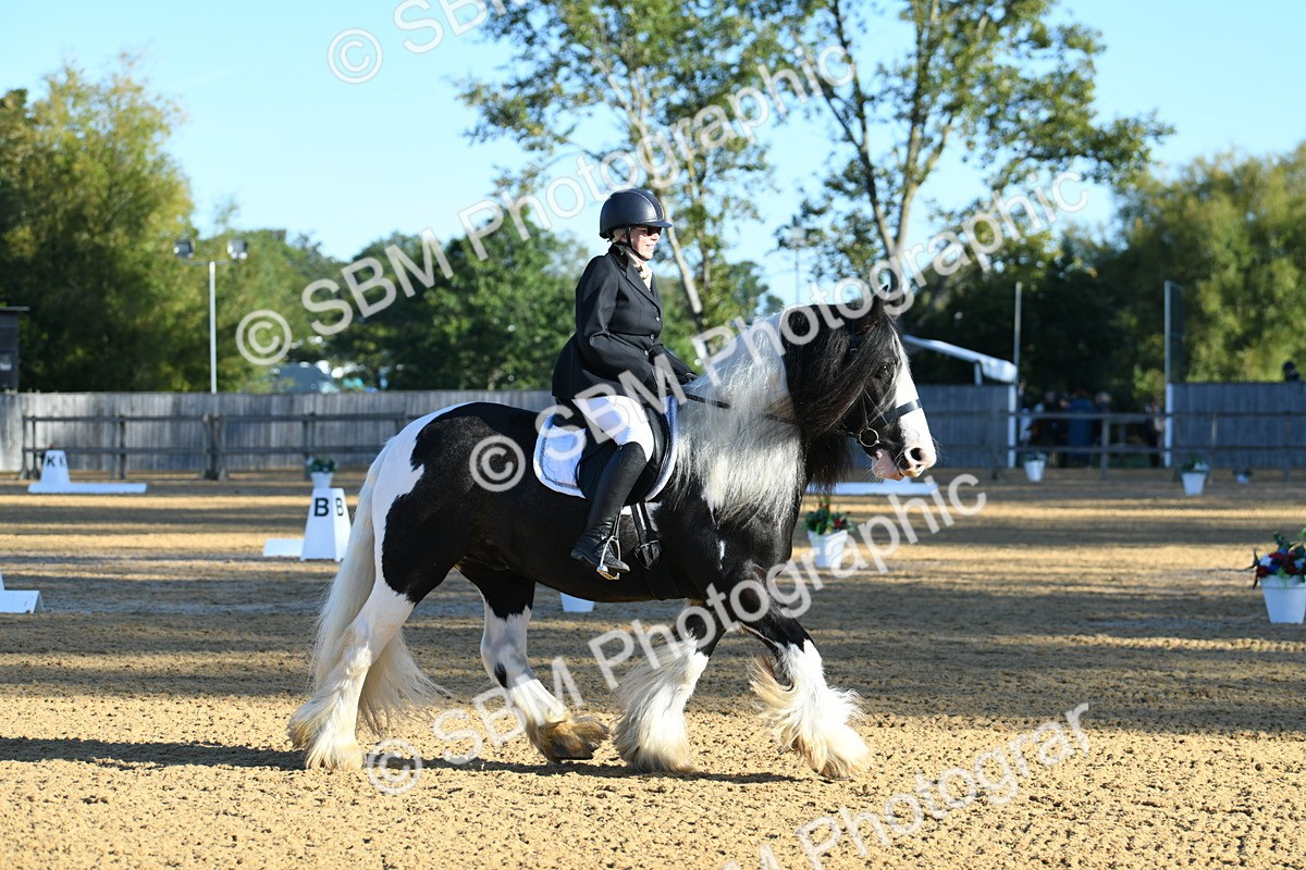 SBM_14457 - D4 - Small Tour Championship - Intro B