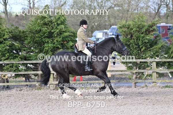 BPP_6750 - RING 1  (RIDDEN HORSES / IN HAND / VETERAN ETC)