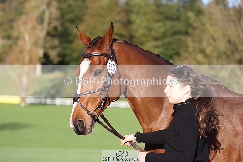 241027-084051-14741 - 383-Kirstin.Elisa.Evans-MONTY.GUIRY