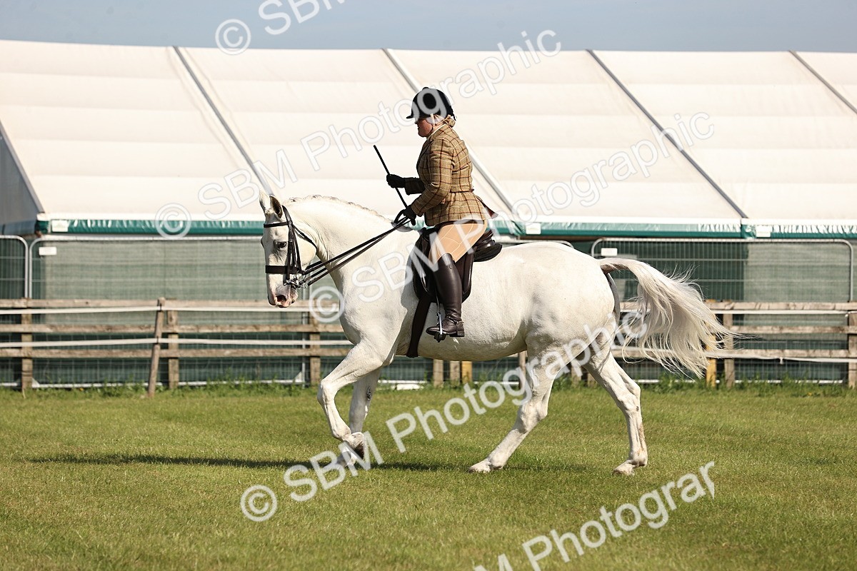 SBM_12426 - Class 73-74 - LIHS BSHA Open Style & Performance