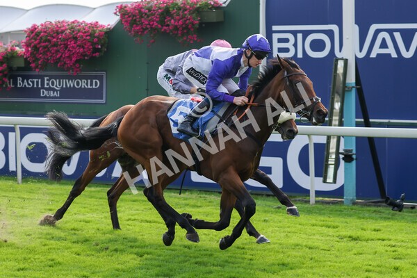 yr05092021r4-22 - Race 4 3.45pm Coopers Marquees British EBF Future Stayers' Novice Stakes