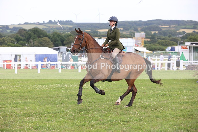 JPP_4341 - Class 26: Working Hunter 1m