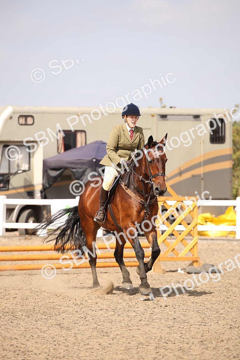 SBM_14352 - Class 407b - Working Veteran 60cm (20+)