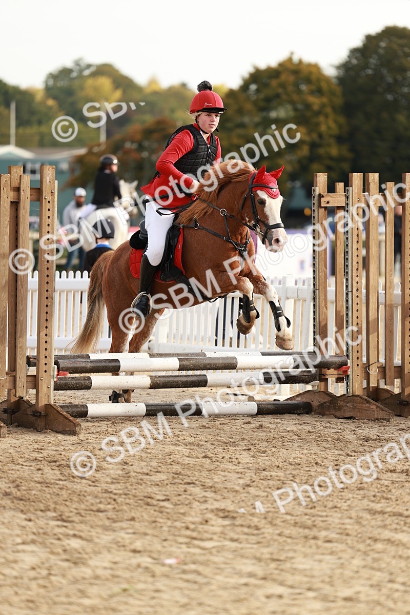 SBM_55630 - J11 - Junior Pony 50cm Championship