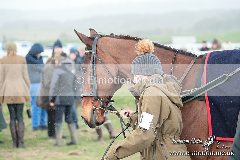 PtP 230324 778 - Tedworth Hunt PtP Larkhill Raccourse 23rd March 2024