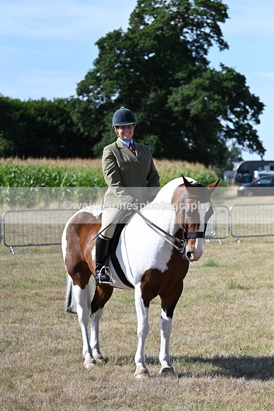 WJ7_3155 - Class 8 Ridden Tack & Turnout
