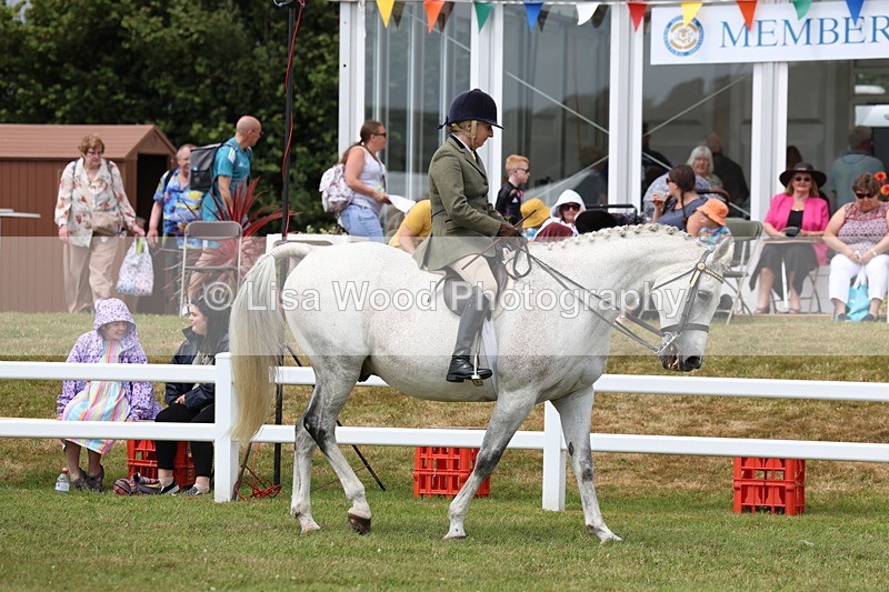 3E7A0796 - Class 8: Open Riding Horse/Hack