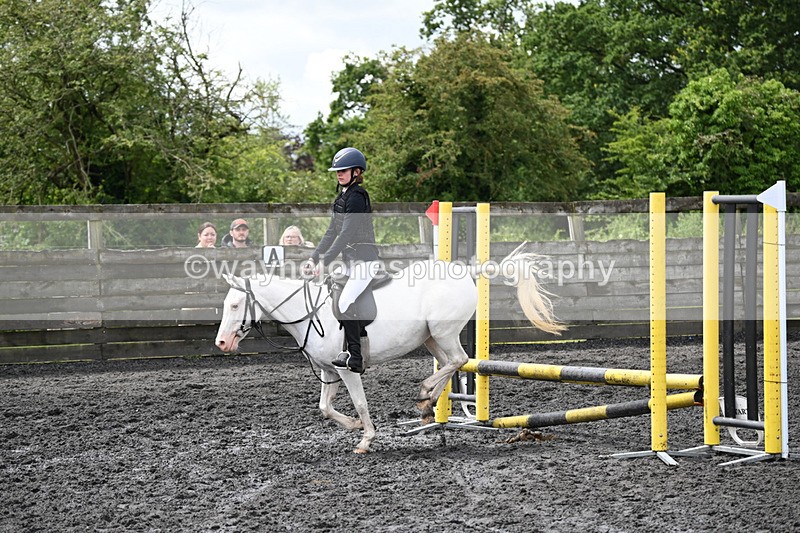 WJ6_9712 - Class 13 Novice 60cm