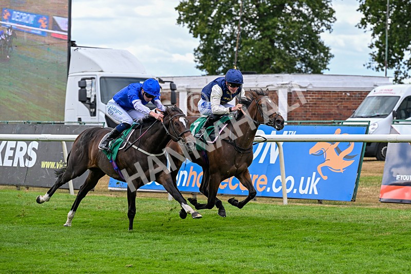 070826-Race 3-Bymiddaytomorrow-1702 - Race 3 15.10pm Peter Bell Memorial Fillies' Nursery Handicap