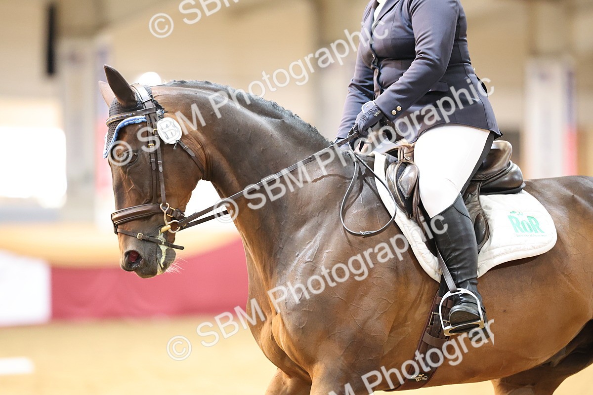 SBM_09565 - Class 51 - Dressage to music