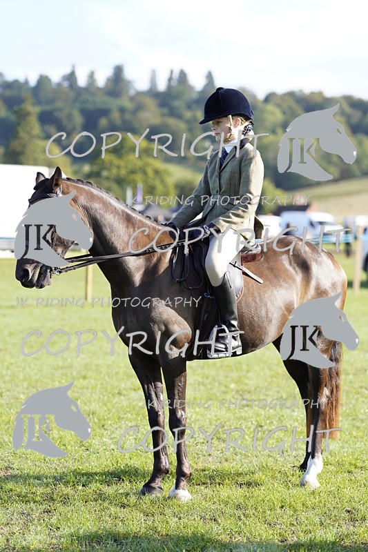 _DSC9412 - Class 8 & 17 Ridden Hunter & Ridden Hunter Pony
