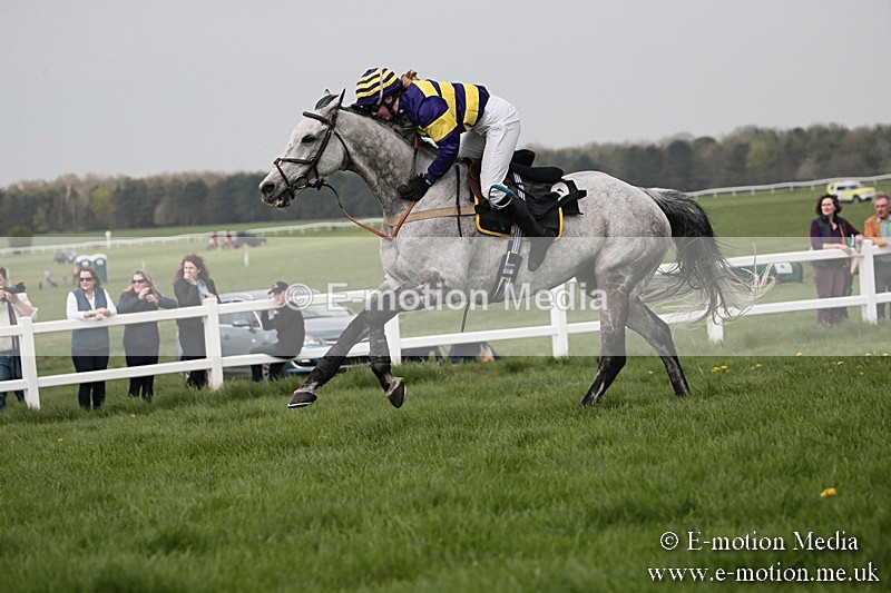 PtP 210418 291 - South & West Wilts Point-to-Point Larkhill 21/04/18