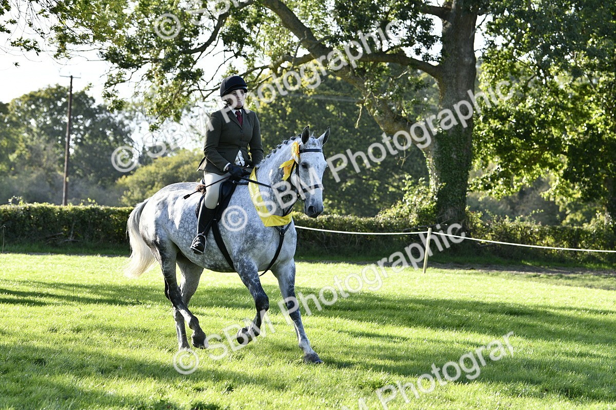 SBM_52277 - S35 - Working Hunter & Working Show Horse