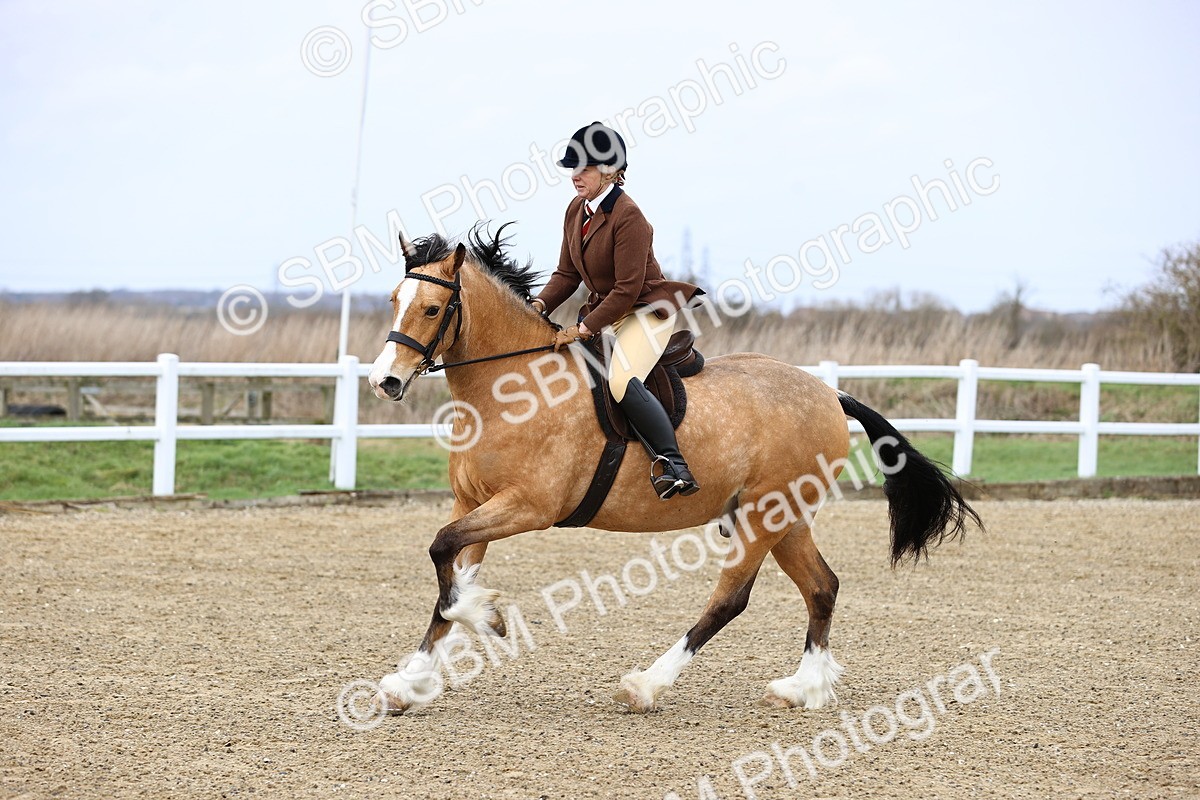 SBM_006939 - Class 29 - 30 - M&M Pure Novice Small-Large Breeds