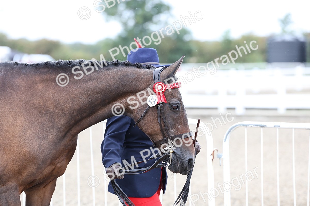 SBM_00020 - Class 50 - Best Turned Out IH