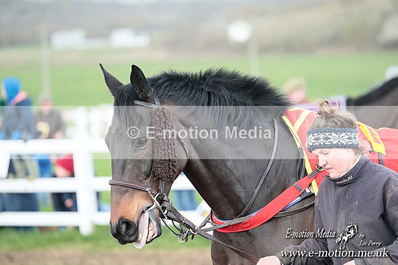 PtP 230324 776 - Tedworth Hunt PtP Larkhill Raccourse 23rd March 2024