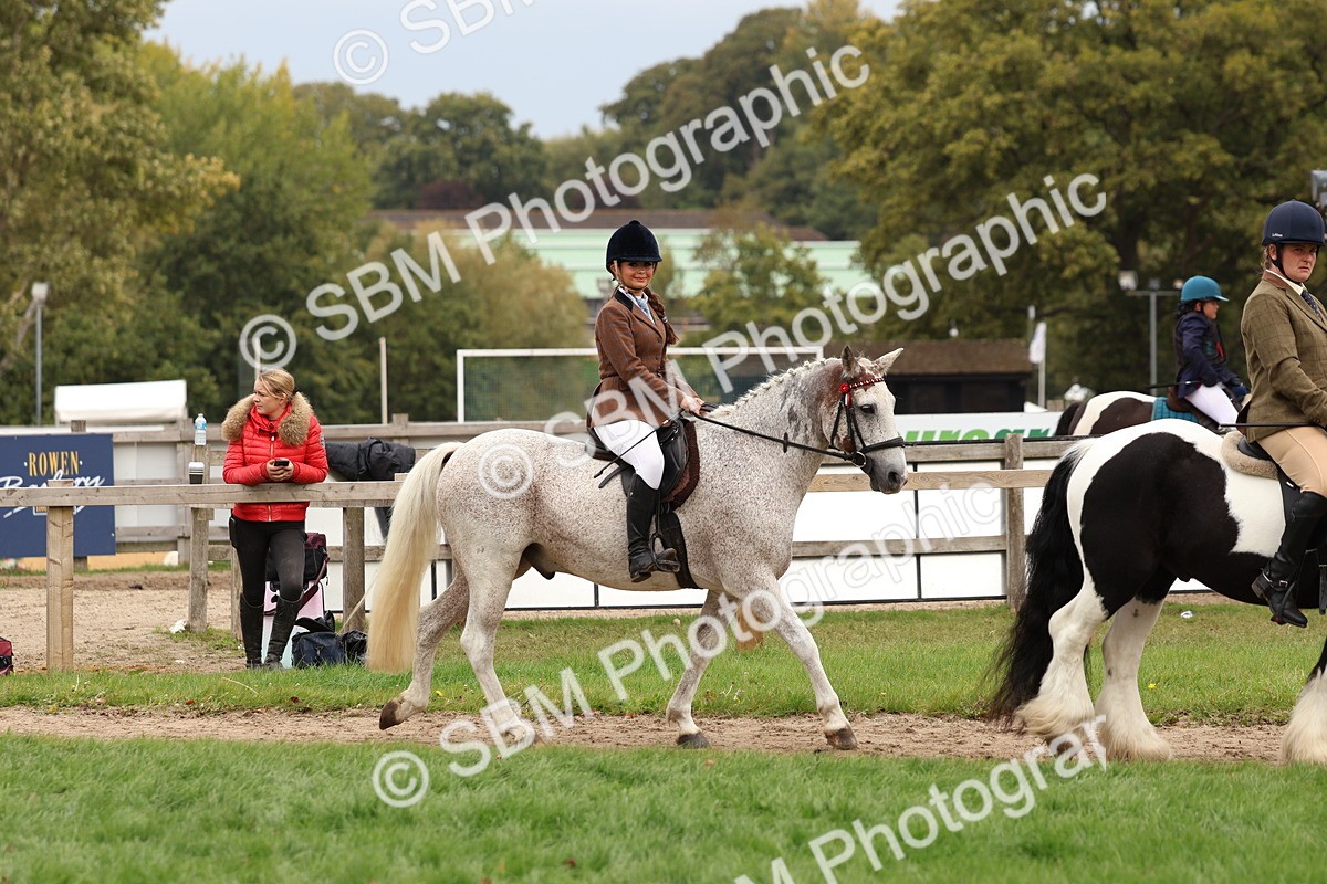 SBM_64389 - S58 - Coloured Pony Ridden