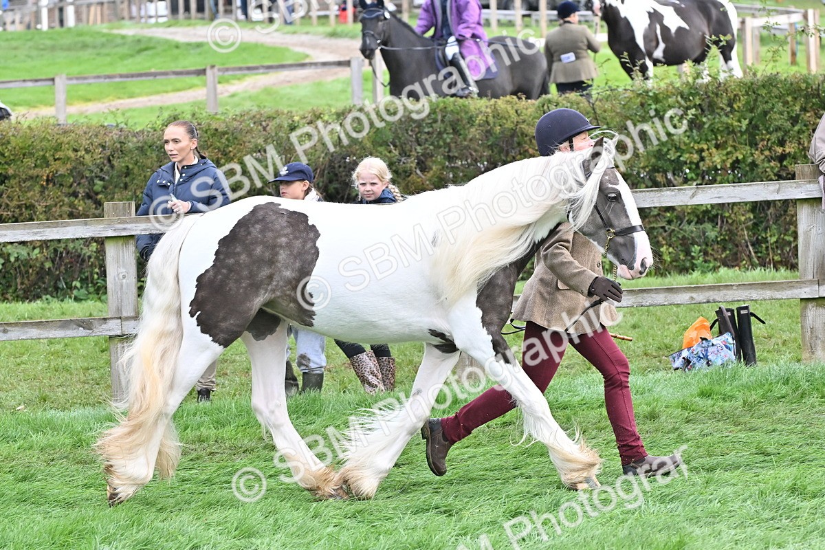 SBM_56891 - S45 - Coloured Pony In Hand