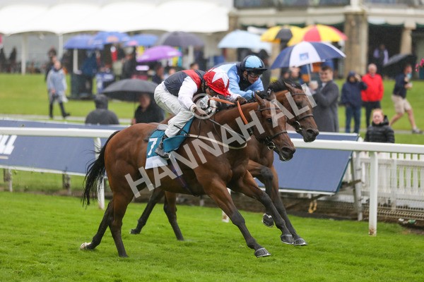140723-Race 6-Copper Knight-8638 - Race 6 4.55pm Irish Thoroughbred Marketing Handicap