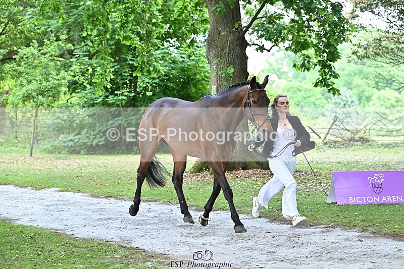 250521A-144221-00178 - A-054-Alice.Gates-SHANBEG.PANDORA