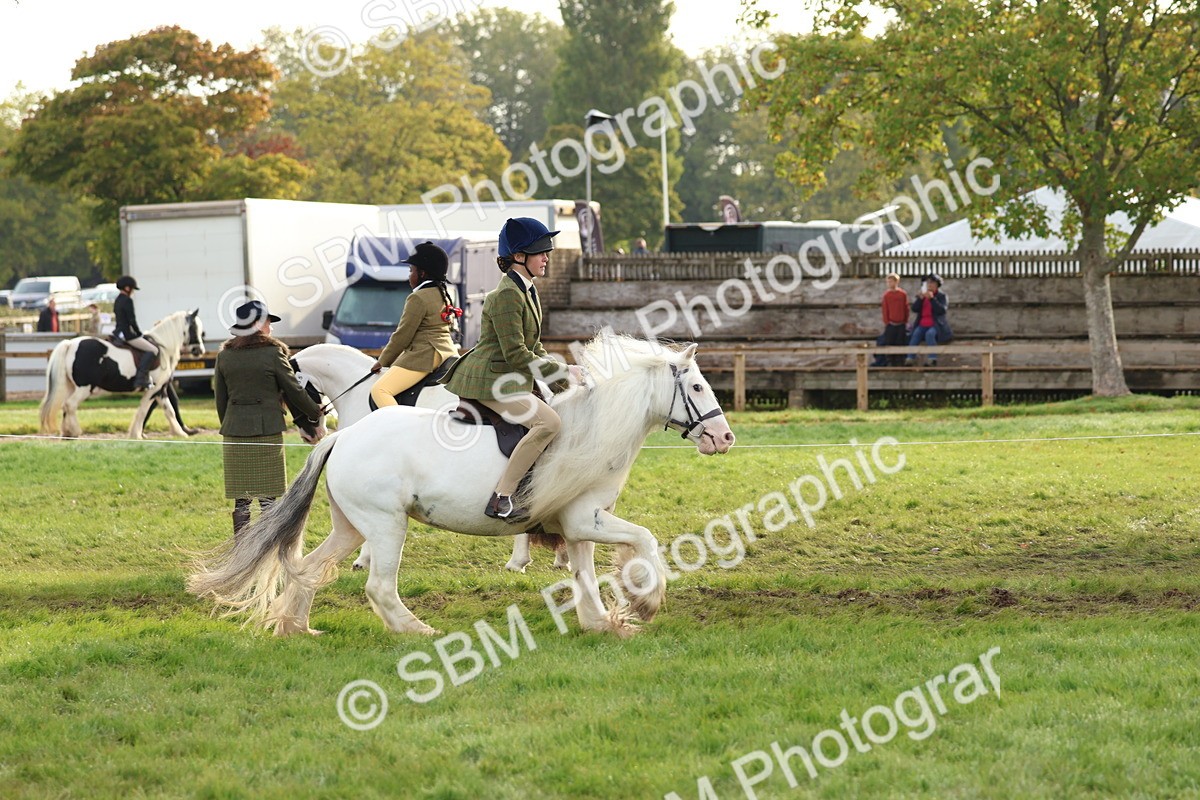 SBM_56594 - S40 - Starters Ridden Showing
