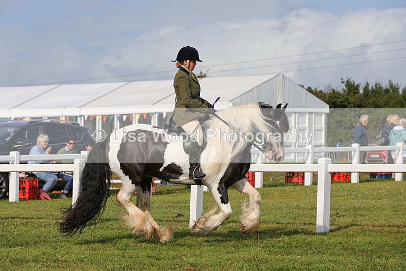 1X9A3264 - Class 28: Ridden Native/Trad Coloured Pony