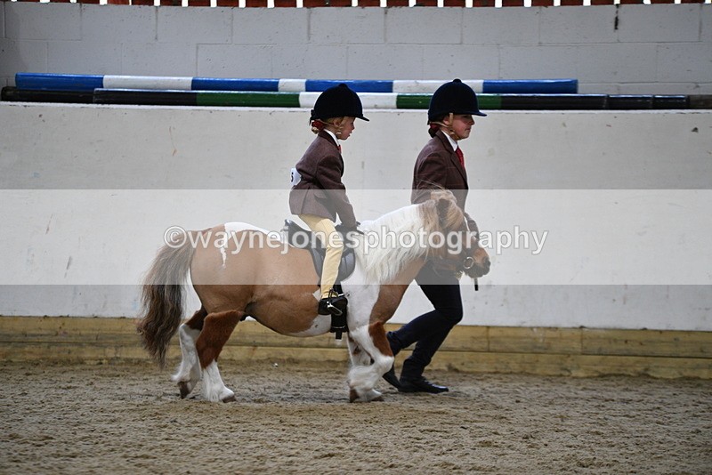 WJ5_6766 - Class 10 Childs Pony