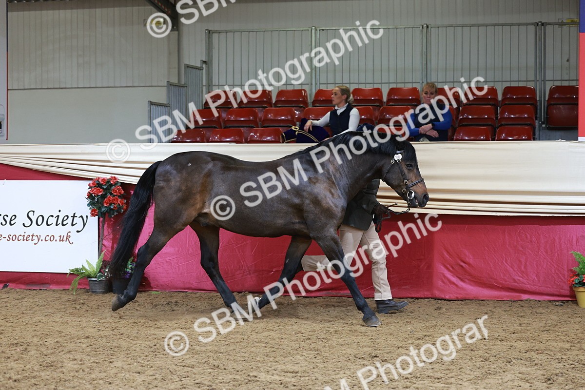 SBM_17421 - Class 951 - M&M IH Supreme Final