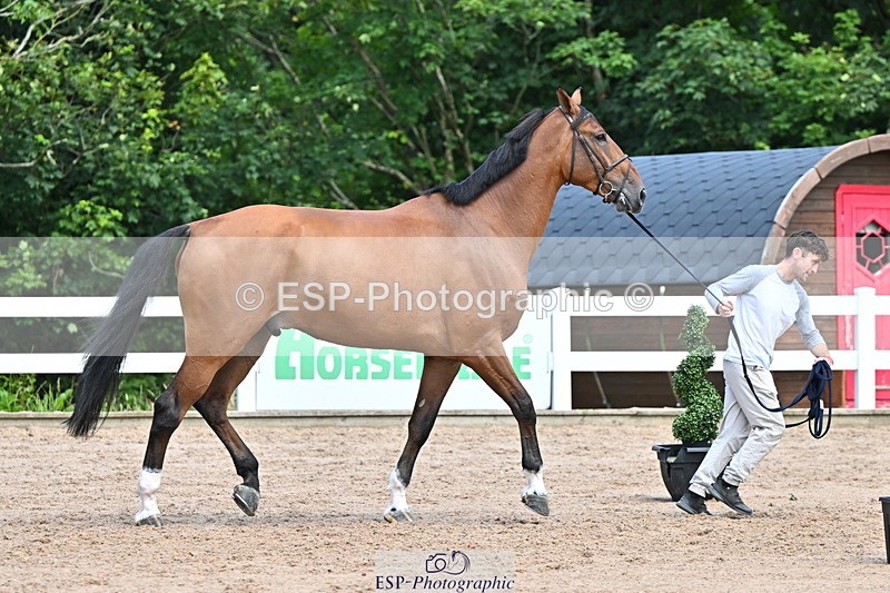 240718A-105254-01303 - Trot Up 12pm to 1pm