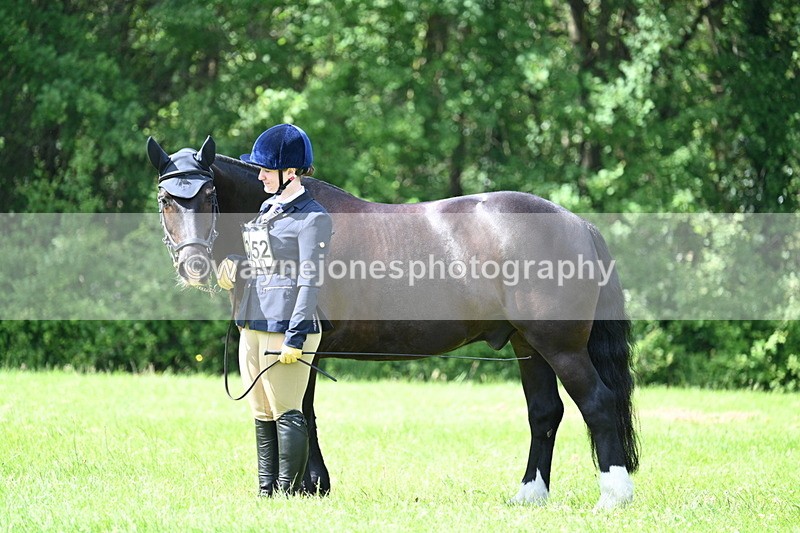 WJ7_1444 - Class 11 Condition & Turnout
