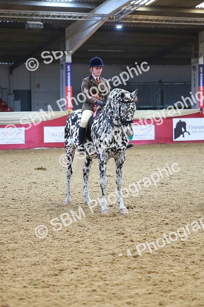 SBM_12703 - Class 103 - HOYS Veteran Qualifier - Ridden Pre Vet
