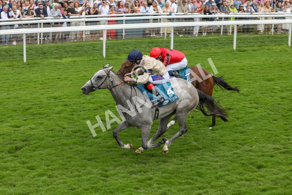 270724-Race 4-Greydreambeliever-4717 - Race 4 4.00pm Sky Bet Club EBF Fillies' Novice Stakes