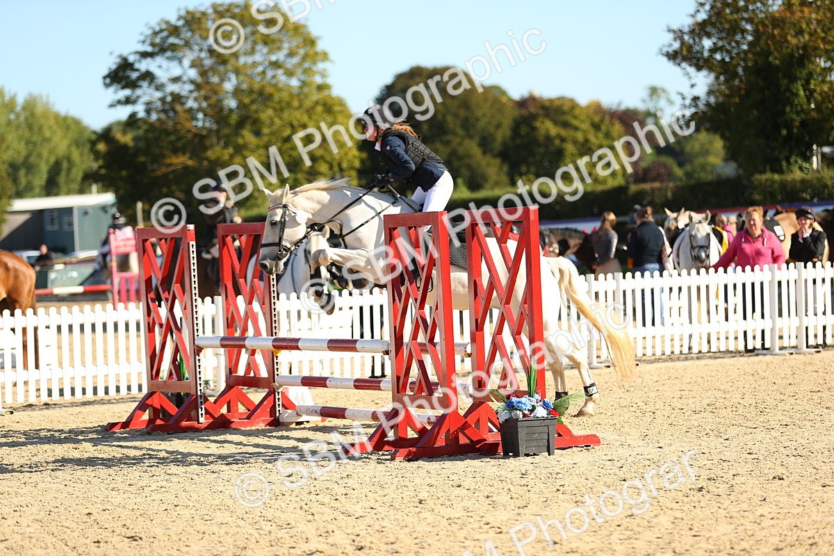 SBM_16633 - J33 - Senior 75cm Championship