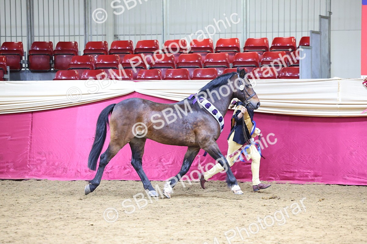 SBM_18600 - Class B Junior Champ 11-16 years