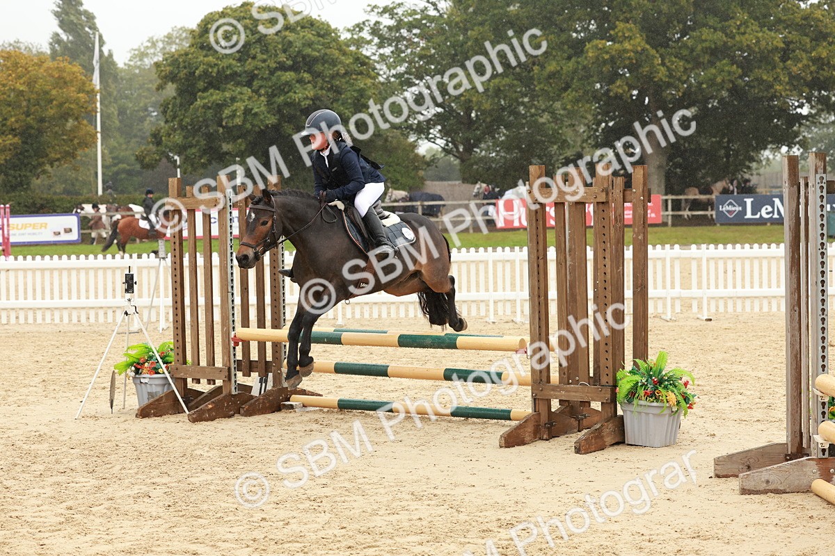 SBM_71200 - J14 - Junior Pony 65cm Championship