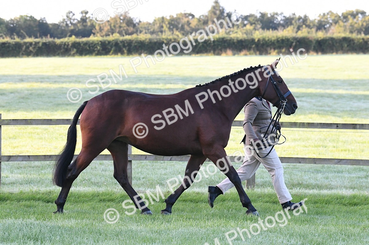 SBM_32539 - S15 - Condition & Turnout In Hand