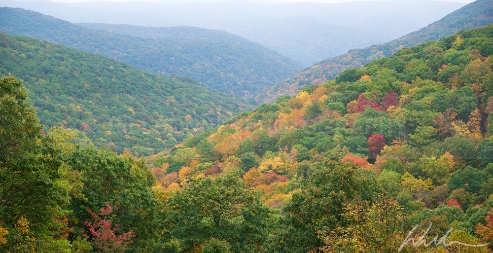 DSC_6623 - Autumn