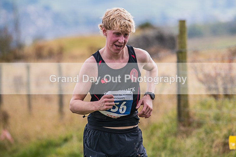 Year 12-13-68 - The English Schools Fell Running Championship Giggleswick Year 12-13 Sunday 6th October 2024