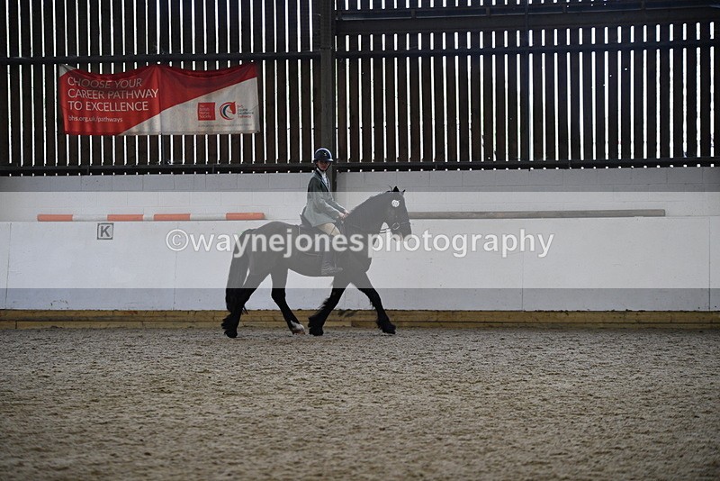 WJ5_7888 - Class 13 Ridden Part Breed