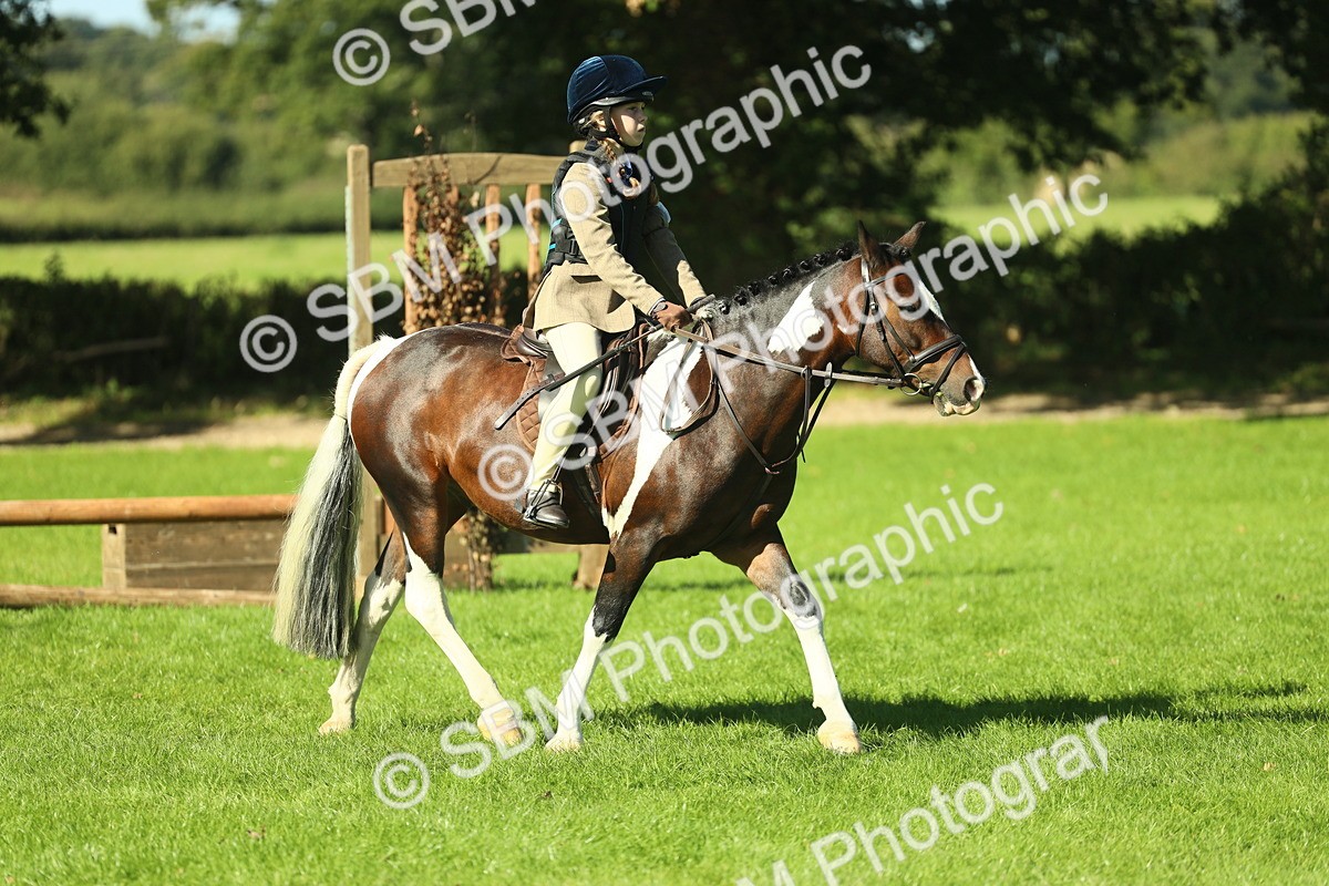 SBM_37520 - S29 - Novice & Newcomers Working Hunter Pony