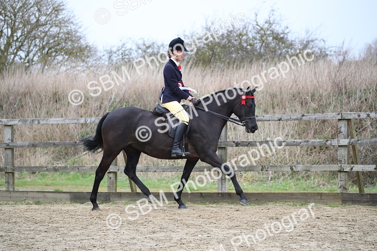SBM_004723 - Class 5-9 - NPS In Hand-Show Hunter-Intermediate Ridden Inc Ridden Championship