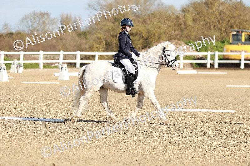 20260314-4515 - DR4 - Prelim 2